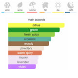 CAROLINA HERRERA212 Men Eau de Toilette 100 ml