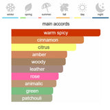 Paco Rabanne 1 Million Eau de Toilette 100 ml