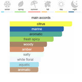 Paco Rabanne Invictus Eau de Toilette 100 ml