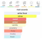 Prada Paradoxe Eau de Parfum 90 ml