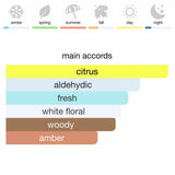 Chanel Chance Eau Fraiche Eau de Parfum 100 ml