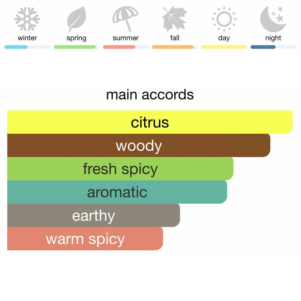 Hermès Terre D'Hermes Eau de Toilette 100 ml